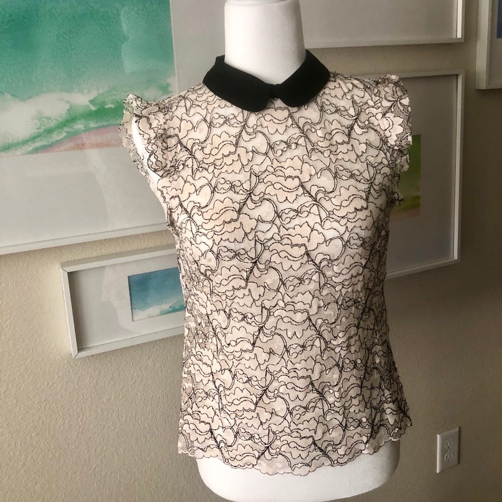 ZARA Woman Lace Top with Black Collar - NEW